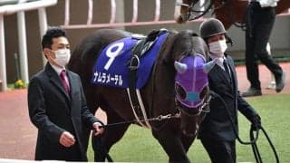 小倉12Rで競走中止のナムラメーテルは予後不良、幸英明騎手は異状なし