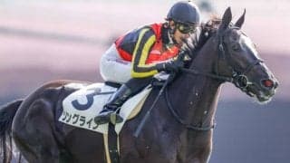 【関屋記念前日オッズ】ソングラインが2.3倍で1番人気