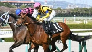 【小倉記念前日オッズ】ファルコニアが4.1倍で1番人気