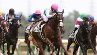 【万哲の馬場予報】決め手があり、湿った馬場をこなす馬が優位