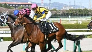 【小倉記念】ファルコニア　雌伏のときを過ごしてきた素質馬が夏の小倉で花開く