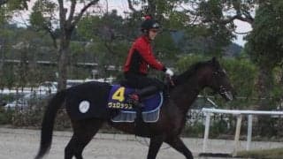 【小倉記念】ヴェロックス陣営「直線の短い小倉は合っている」/ねぇさんのトレセン密着