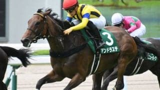 【関屋記念予想】前走勝利、中京記念組の好成績、得意距離…なのに過信禁物の人気馬/JRAレース展望 