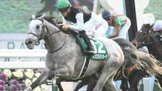 【関屋記念予想】応援馬券なんかじゃなく本気で狙う劇的復活ショー AIの激走注目馬はクロフネ産駒最後の砦/JRA重賞レース展望