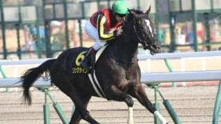 【本日の注目ポイント】新潟で関屋記念、小倉で小倉記念