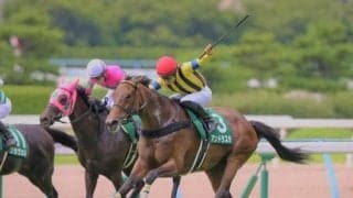 【関屋記念】広い新潟で持続力のある末脚を生かしたい