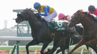 競馬界をけん引する馬主と調教師の「初タッグ」で注目のサトノヘリオスがいよいよ初陣へ