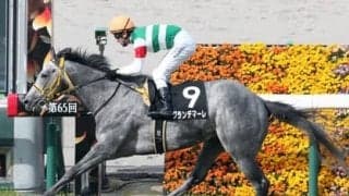 関屋記念は好位で運べる伏兵に要注意。穴党記者が読み切った激走候補２頭