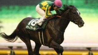 【関屋記念予想】人気サイドと中穴押さえで馬券を組め！