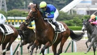 【小倉5R新馬戦結果】キタサンブラック産駒ドグマが鋭く伸びて初陣V