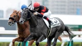 【札幌5R新馬戦結果】高額馬ホウオウプレミアが競り合いから抜け出す