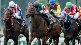 【UHB賞結果】アヌラーダプラが押し切りV 横山武Jは本日5勝目