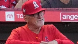 【MLB】エンゼルスは「D」、ヤンキースは「C」　昨年オフの補強の成否を米メディア検証