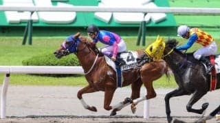 【小倉4R】武豊 メイショウナリヒラが人気に応える