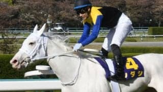 白毛の桜花賞馬ソダシ参戦！　GII札幌記念に注目/今週の競馬界の見どころ