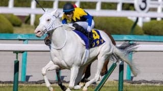 【札幌記念登録馬】ソダシなど13頭が登録