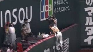 「父親の鑑」　ノーノー試合で起きたWファインプレー、子を守るパパの姿が「素晴らしい」