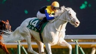 【札幌記念見どころ】ラヴズオンリーユーとソダシが始動戦で激突