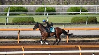 母は米G1馬のダノンアーリーがデビュー/関西馬メイクデビュー情報