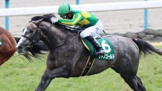 【先週のJRA抹消馬】19年札幌2歳S2着のサトノゴールド、ミッキークイーン全妹リズムオブラヴなど