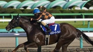 【北九州記念ハンデ確定】モズスーパーフレアは56.5kg、ジャンダルムは57.5kg