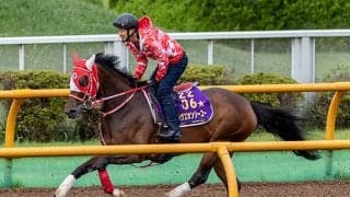 【札幌記念想定騎手】ラヴズオンリーユーは川田将雅騎手、ソダシは吉田隼人騎手