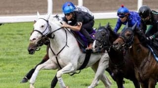 【札幌記念展望】夏競馬唯一のGII、あの馬の巻き返しを期待したい