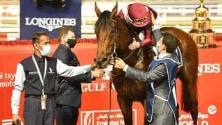 【英・インターナショナルS】キングジョージ上位のミシュリフは6番枠、ラブは2番枠