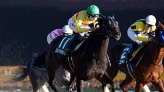 【佐賀・サマーチャンピオン】コパノキッキング、サクセスエナジー、ヒロシゲゴールドなどJRA選定馬が発表