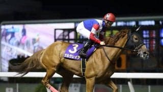 【名古屋・秋桜賞】サルサレイア、グランデストラーダなど地方他地区所属の選定馬が発表