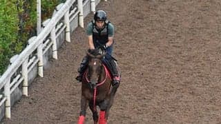 【北九州記念予想オッズ】モズスーパーフレアを中心に上位人気は混戦模様