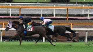 クラウンドマジックなど、新潟2歳S1週前追い切り速報/栗東トレセンニュース