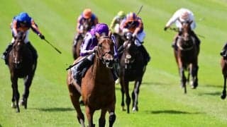 【英・ヨークシャーオークス】ディープ娘スノーフォールは3番枠、4連勝中ワンダフルトゥナイトは2番枠