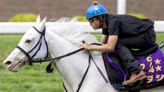 【札幌記念】白毛馬ソダシ始動　秋の大舞台に向けて目が離せない1戦