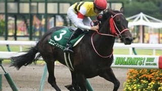 G1戦線を席巻する名馬を続々輩出　欧州最高のセリにキングマン産駒43頭など超豪華なラインナップ！