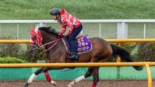 【札幌記念】本格化したラヴズオンリーユー　始動戦を制し成熟の秋へ