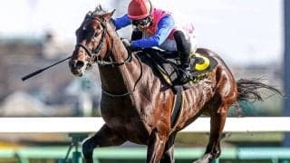 【AI予想】札幌記念は差し有利？ 脚質と実績に注目しAIが選んだ伏兵を分析