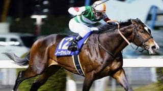 【JRA】ノーヴァレンダが川崎移籍へ、2018年の全日本2歳優駿覇者