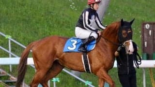 【門別競馬情報】昨年2歳秋に遠征の盛岡で重賞2着も実績も！3勝目なるかスティールグレート。B4下条件では屈指の好メンバー揃った12R「どんどん食べよう道産DAY特別」 /地方競馬情報 