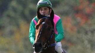 トーシンブリザードが死亡、23歳　2001年に無敗で南関東四冠を達成