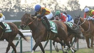 【北九州記念】出走馬・騎手確定 アウィルアウェイ＆松山弘平騎手、モズスーパーフレア＆松若風馬騎手など18頭