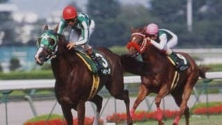 タイキポーラとノボキッスが引退馬協会の受け入れ馬に　ナイスネイチャ・33歳のバースデードネーションで