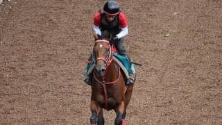 藤田晋オーナーが改めて“Make debut” 武豊騎手鞍上で新馬2頭が初陣