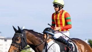 日本馬イカットが仏G1オペラ賞、エントシャイデンがフォレ賞などに登録