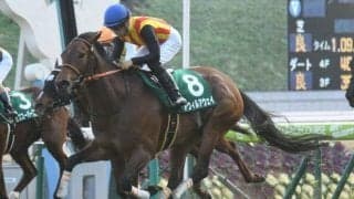 【北九州記念枠順確定】アウィルアウェイは6枠11番、モズスーパーフレアは6枠12番