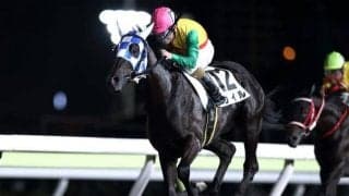 【大井・はやぶさ特別結果】左海誠二騎手騎乗の3番人気カイルが勝利