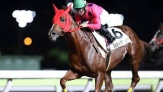 【大井・流星賞結果】西啓太騎手騎乗クルセイズスピリツが昨年に続き連覇