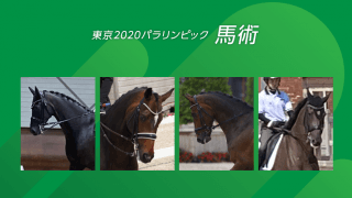 日本代表“馬”に注目！東京パラリンピックの馬術競技・馬名鑑