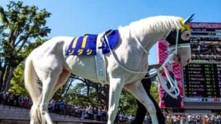 【札幌記念予想】ソダシ＆ラヴズオンリーユー　人気の牝馬2頭は前走敗戦・遠征帰りによる心配なし