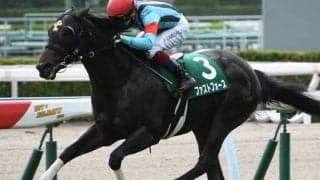 【北九州記念予想】同舞台で好走でも要注意？ 波乱に強い消去条件とは/JRAレース展望 